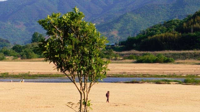 Lone figure walking in the vast open sandy field with mountains in the background