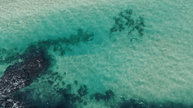 Clear turquoise sea with visible rocks