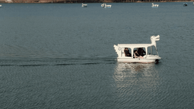 호수에서 페달 보트를 즐기는 사람들