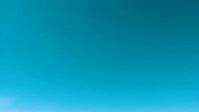 썰물 때의 평화로운 해안 풍경