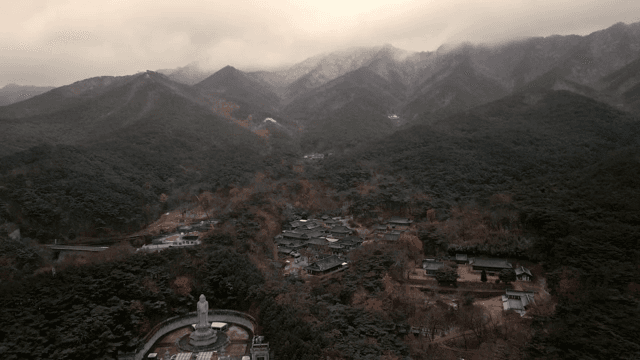 숲으로 둘러싸인 전통 한국 사찰