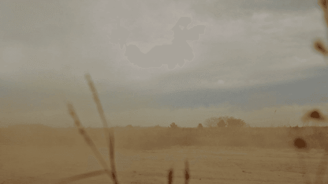 먼지 나는 들판을 달리는 택시