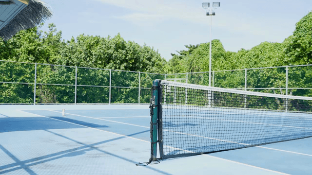 녹지로 둘러싸인 빈 테니스 코트