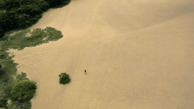 광활한 사막을 걷는 한 사람