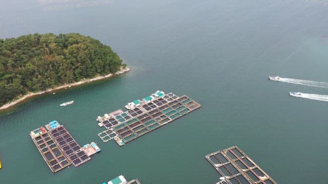 Fish farm near the coast with a view of the green forest