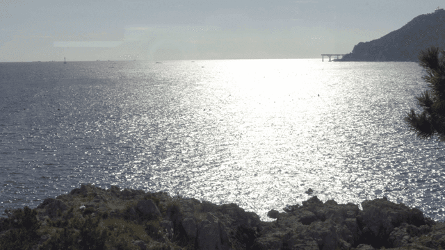 햇빛이 반사되는 잔잔한 바다