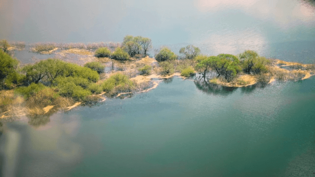 호수에 있는 작은 나무가 우거진 섬