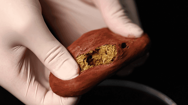 Thick chewy dough that tears with gloved hands