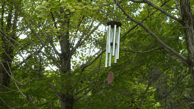 Wind chimes hanging in a lush forest