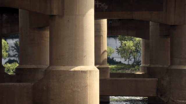 Underneath a bridge with concrete pillars