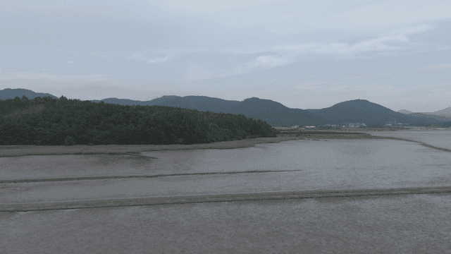Quiet mudflat with mountains visible in distance