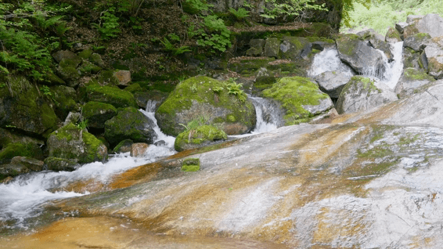 A serene stream flowing over mossy rocks