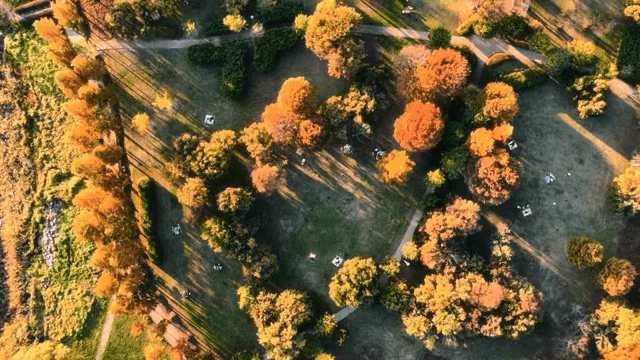 가을 단풍이 든 공원의 항공 뷰