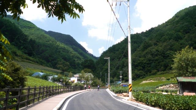 Rural road winding through lush green mountains