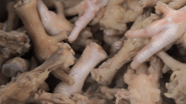 Close-up of raw chicken feet