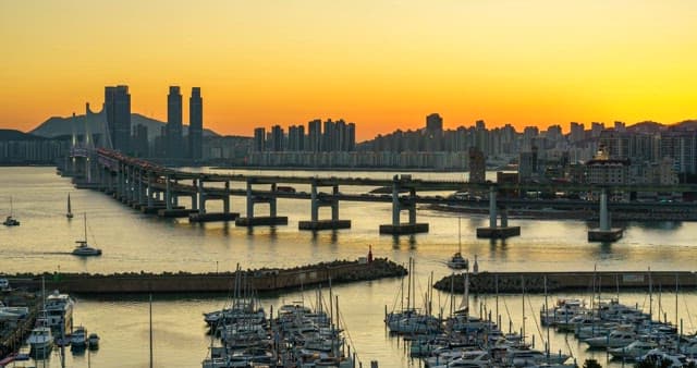 Evening view of a bustling port city with tall skyscrapers and bridge