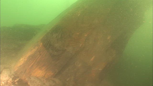 Underwater view of a sunken wooden structure