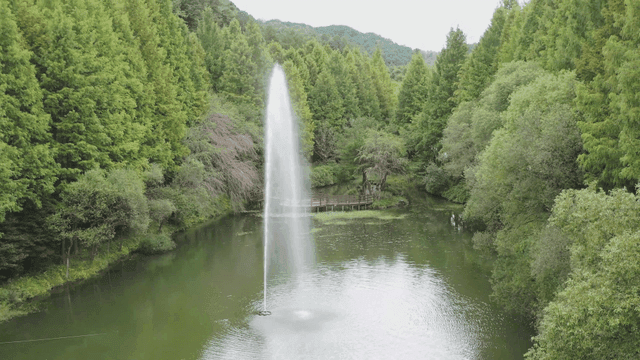 높은 분수가 있는 고요한 호수