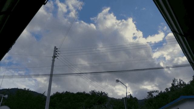 전선과 나무가 있는 구름 낀 하늘