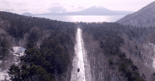 멀리 호수가 보이는 눈 덮인 숲 도로