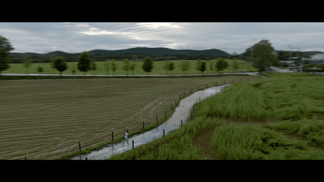 Woman filming with camera while walking on country road