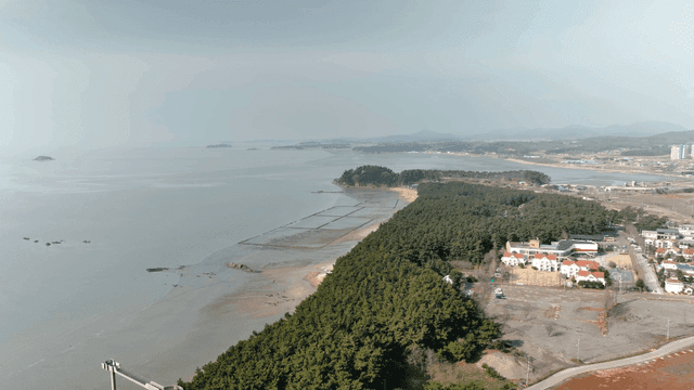 Coastal scenery with forests and mudflats