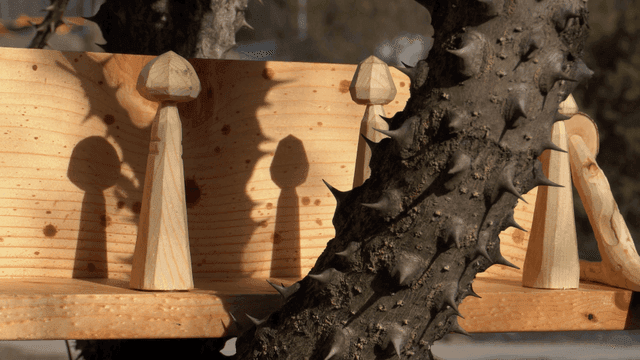 드리운 목재 선반 앞의 가시나무