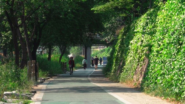 People walking along a path next to a wall covered with ivy