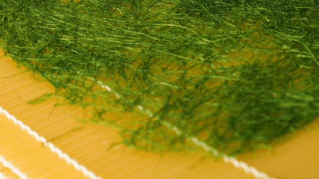 Dried green sea tangle on frame