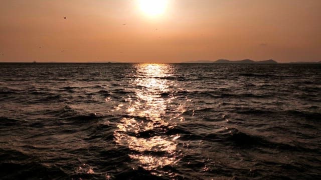 새들이 날아다니는 고요한 바다의 일몰