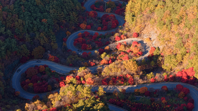 가을 숲 속 풍경이 펼쳐진 구불구불한 도로