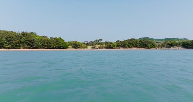 Tranquil beach with lush forest