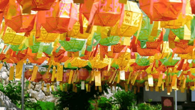 Colorful lanterns hanging outdoors