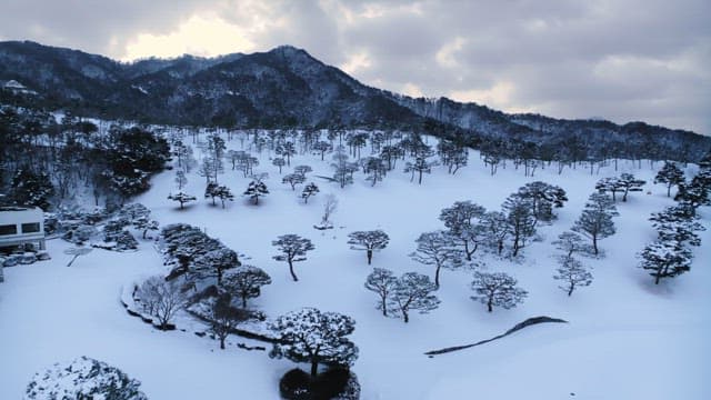 나무가 있는 눈 덮인 산 풍경