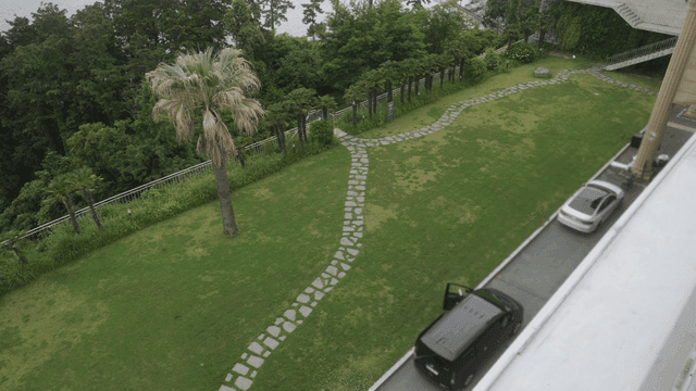 야자수가 있는 잔디밭과 주차된 차들