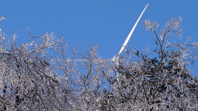 Windmill Visible Through Frosted Tree Branches