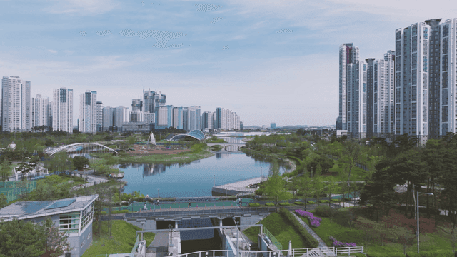 Lake park among modern high-rise buildings