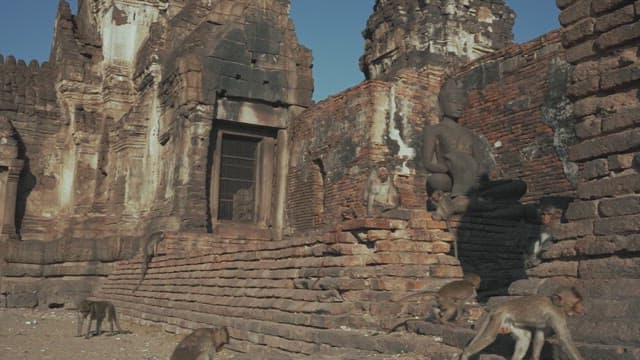 Ancient Temple with Monkeys Playing Under a Clear Blue Sky