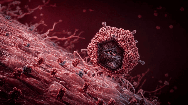 Details of viruses on cell surface