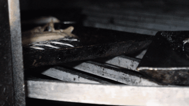Grilled fish cooked in rotating oven