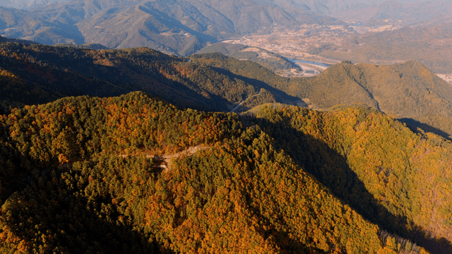 가을 단풍이 든 광활한 산맥