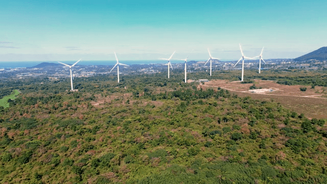 넓은 녹지에 있는 풍력 터빈