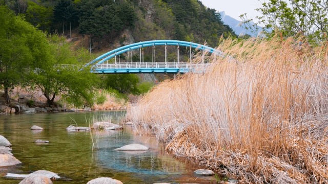 푸른 다리가 있는 고요한 강