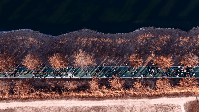 Many people running along riverside road