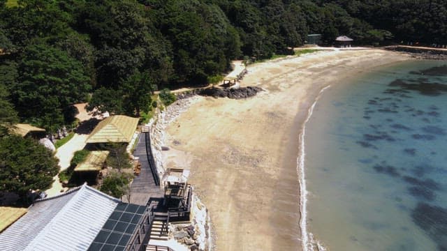 숲 가장자리를 따라 이어진 한적한 해변 전경