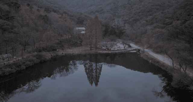 숲으로 둘러싸인 고요한 호수