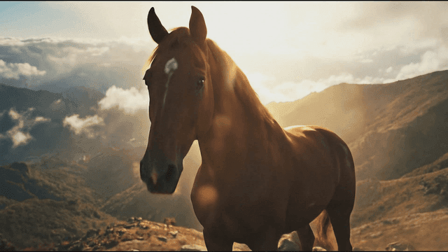Horse standing on a mountain peak