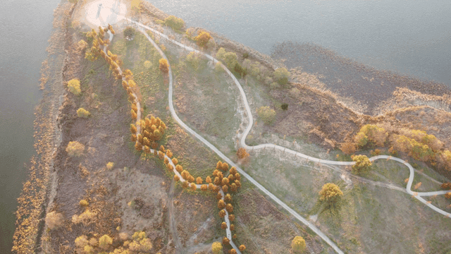 Aerial view of a winding path through a park