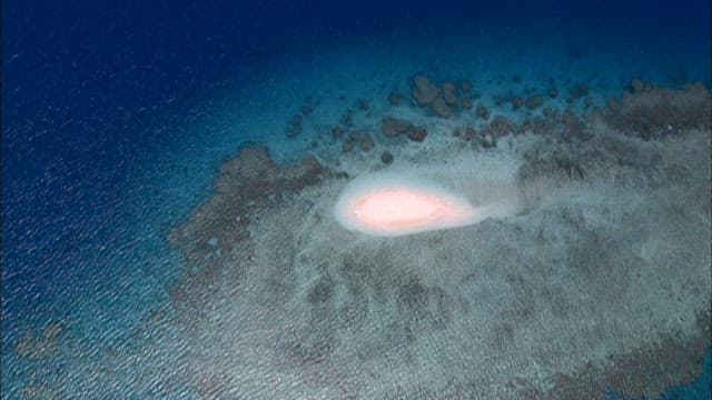 외딴 해변의 전경