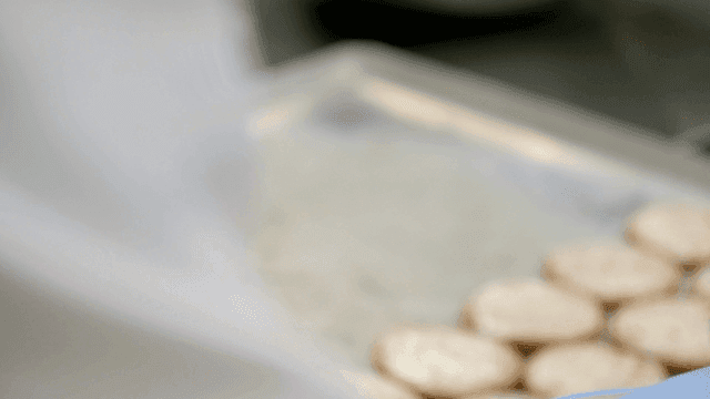 Pastry chef's hand applying cream with brush while wearing gloves.